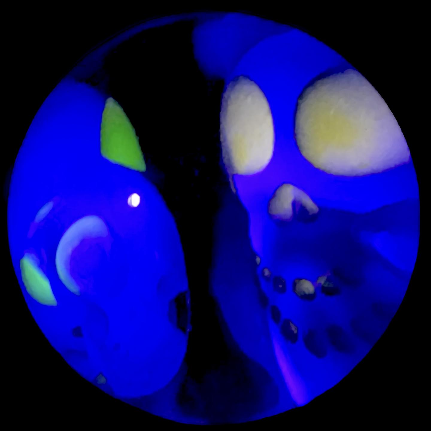 Ginny Snodgrass Triple Fumed UV Skull Marble New #2