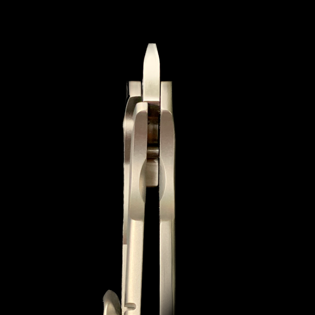 Tashi Bharucha & Lee Williams Custom Phantom New form CCKS