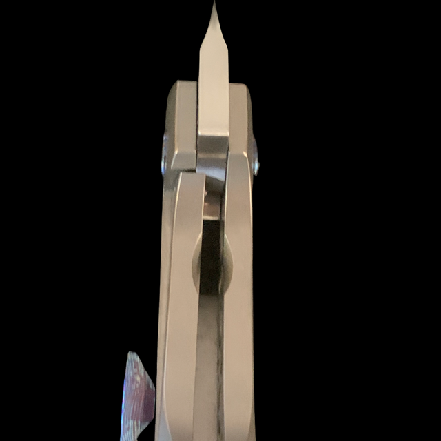 Tashi Bharucha Custom Die Hard New from CCKS