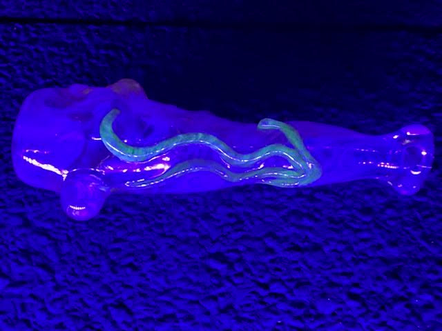 Bob Snodgrass Heady Fumed Flower Chillum 2021 Mint